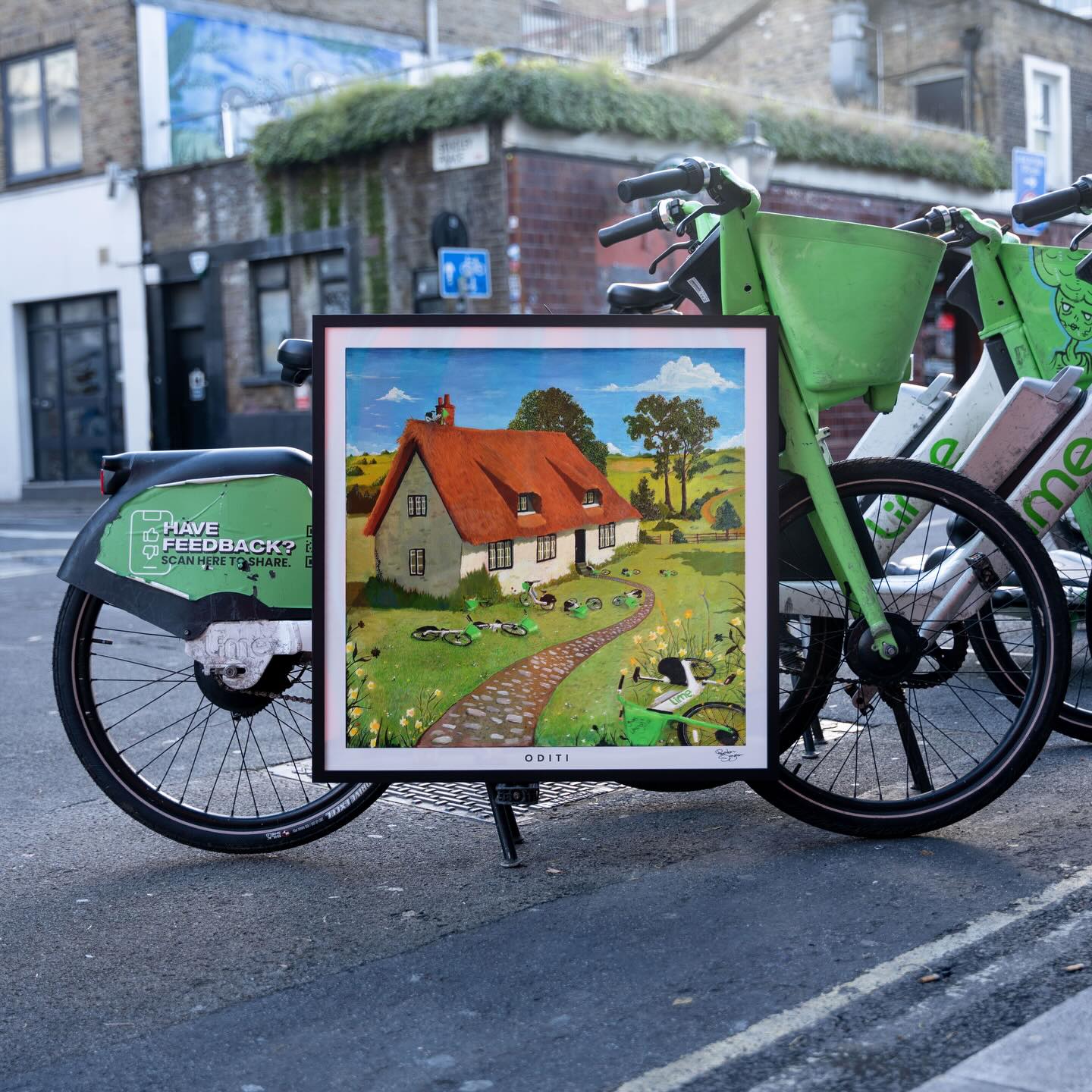 Reuben Exhibition Set