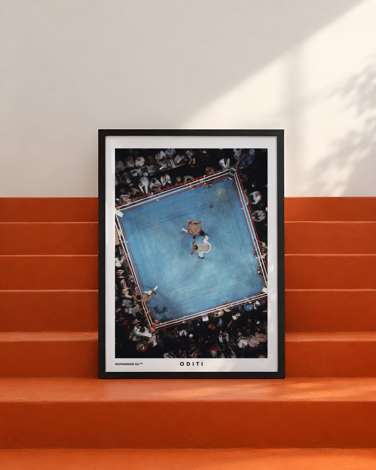 Aerial View — Muhammad Ali ™ Limited Edition Print