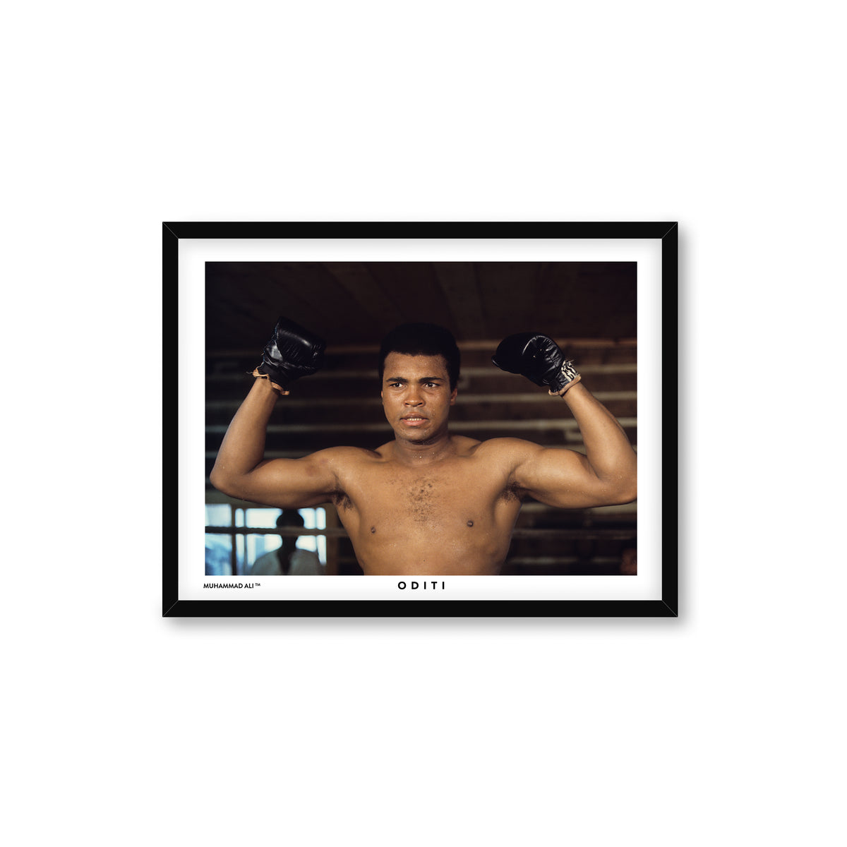 The Fighter
