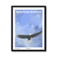 black-frame.png