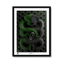 black-frame.png