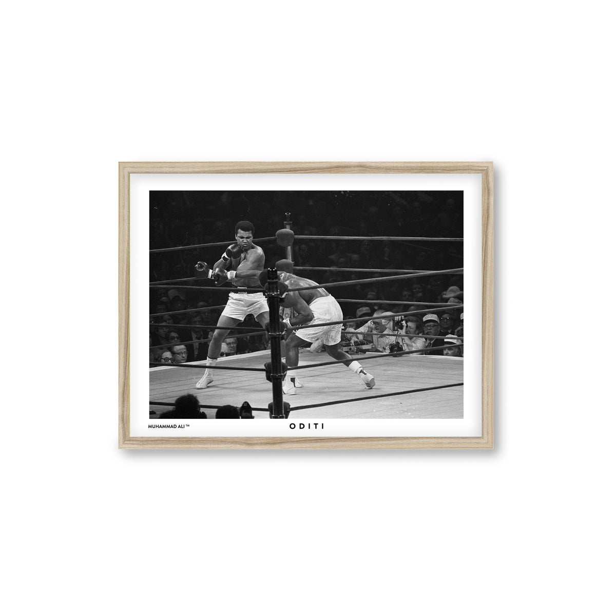 Fighting Spirit (I)