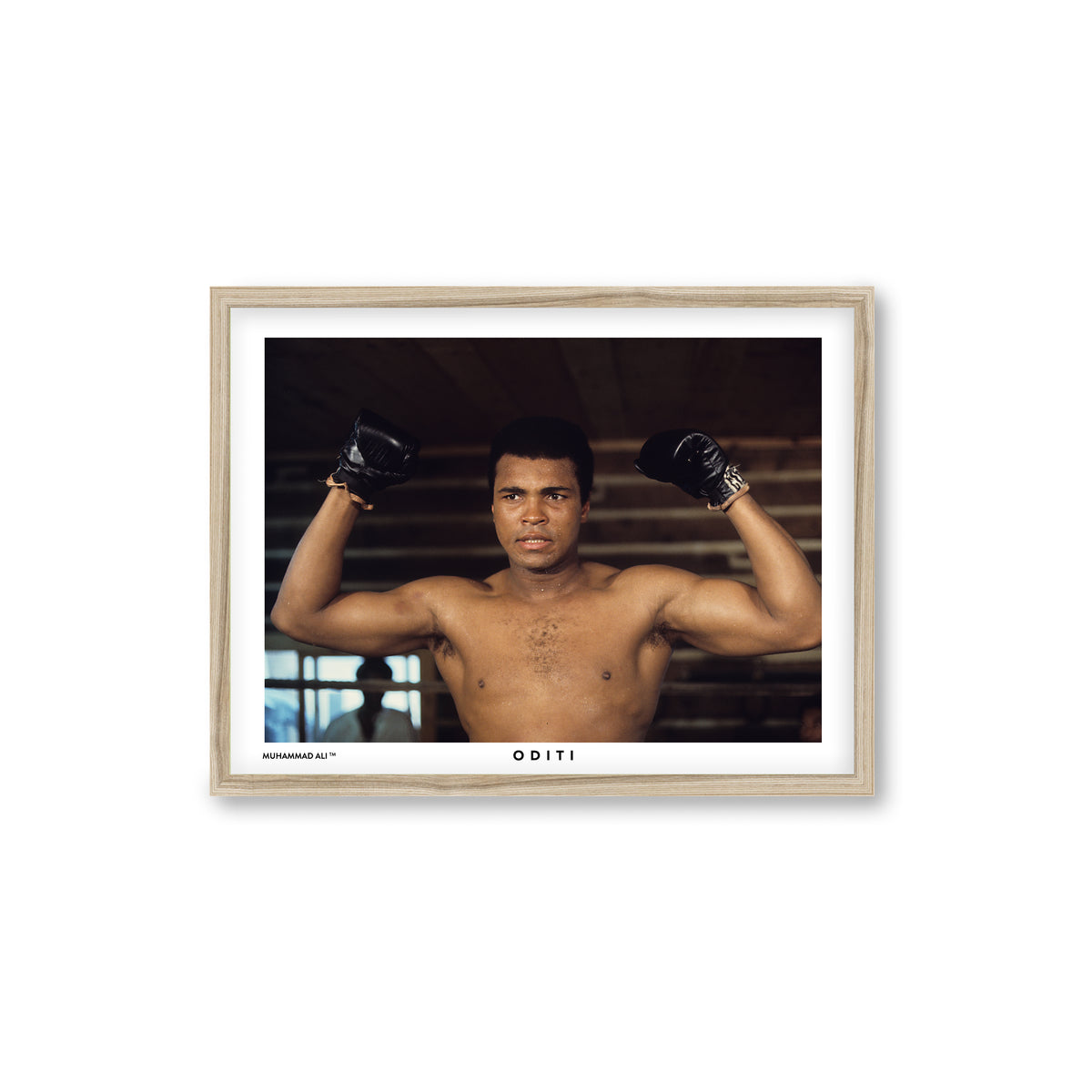 The Fighter