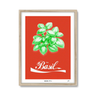 Basil Red