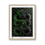 natural-frame.png