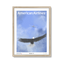 natural-frame.png