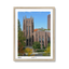 natural-frame.png