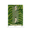 The Ashes 2025