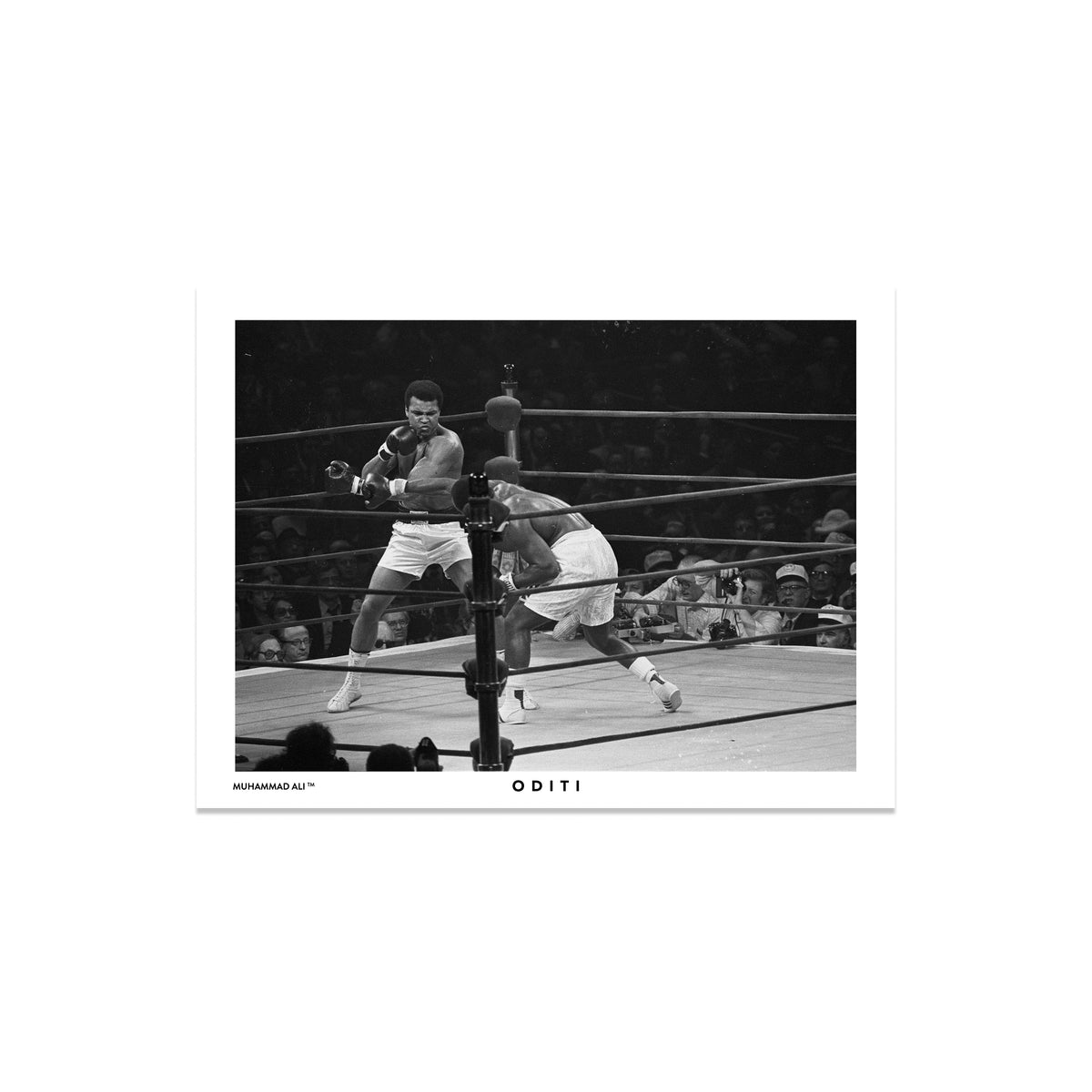 Fighting Spirit (I)