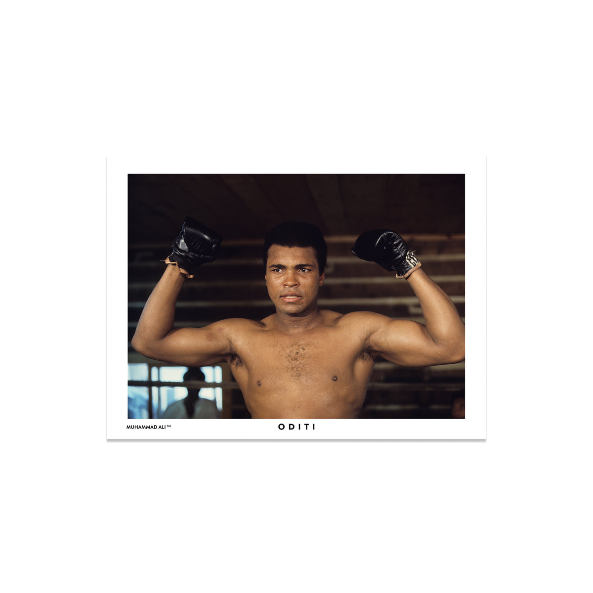 The Fighter