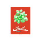 Basil Red