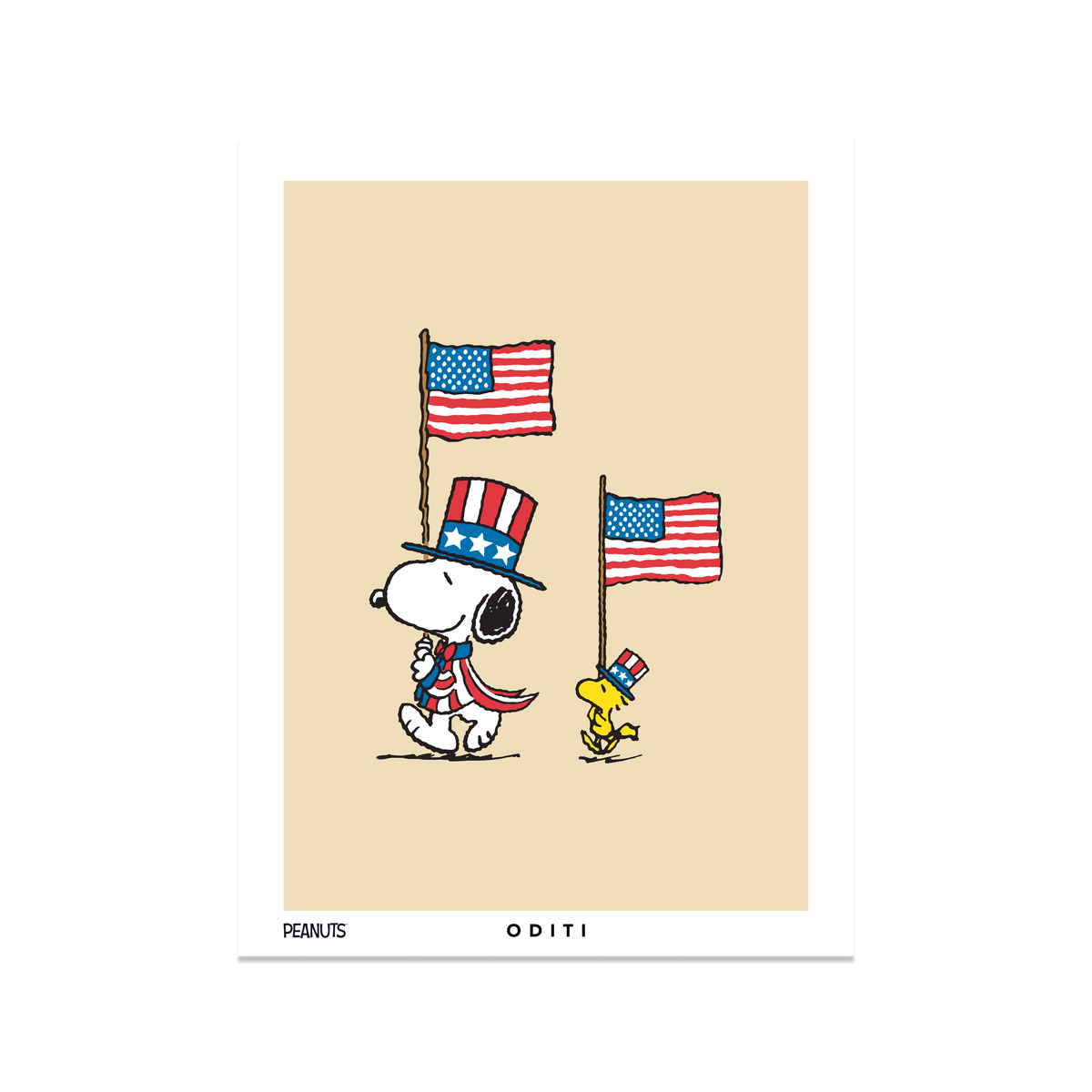 Flag Waving