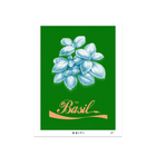 Basil Green