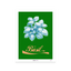Basil Green