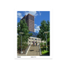 unframed.png