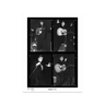 Performance Proof Sheet — Elvis Presley Limited Edition Print