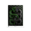 unframed.png