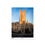 unframed.png