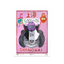 Chinese GP 2026