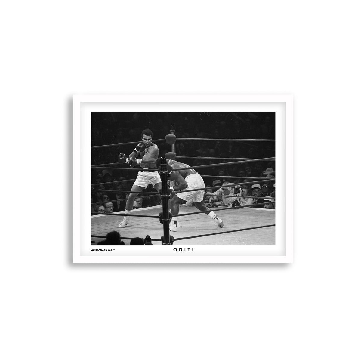 Fighting Spirit (I)