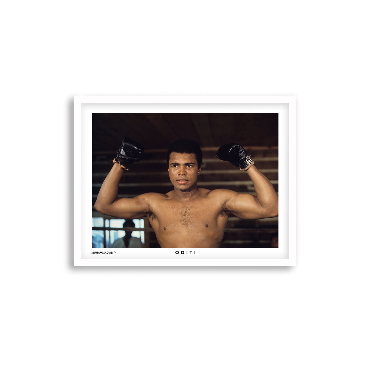 The Fighter