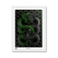 white-frame.png