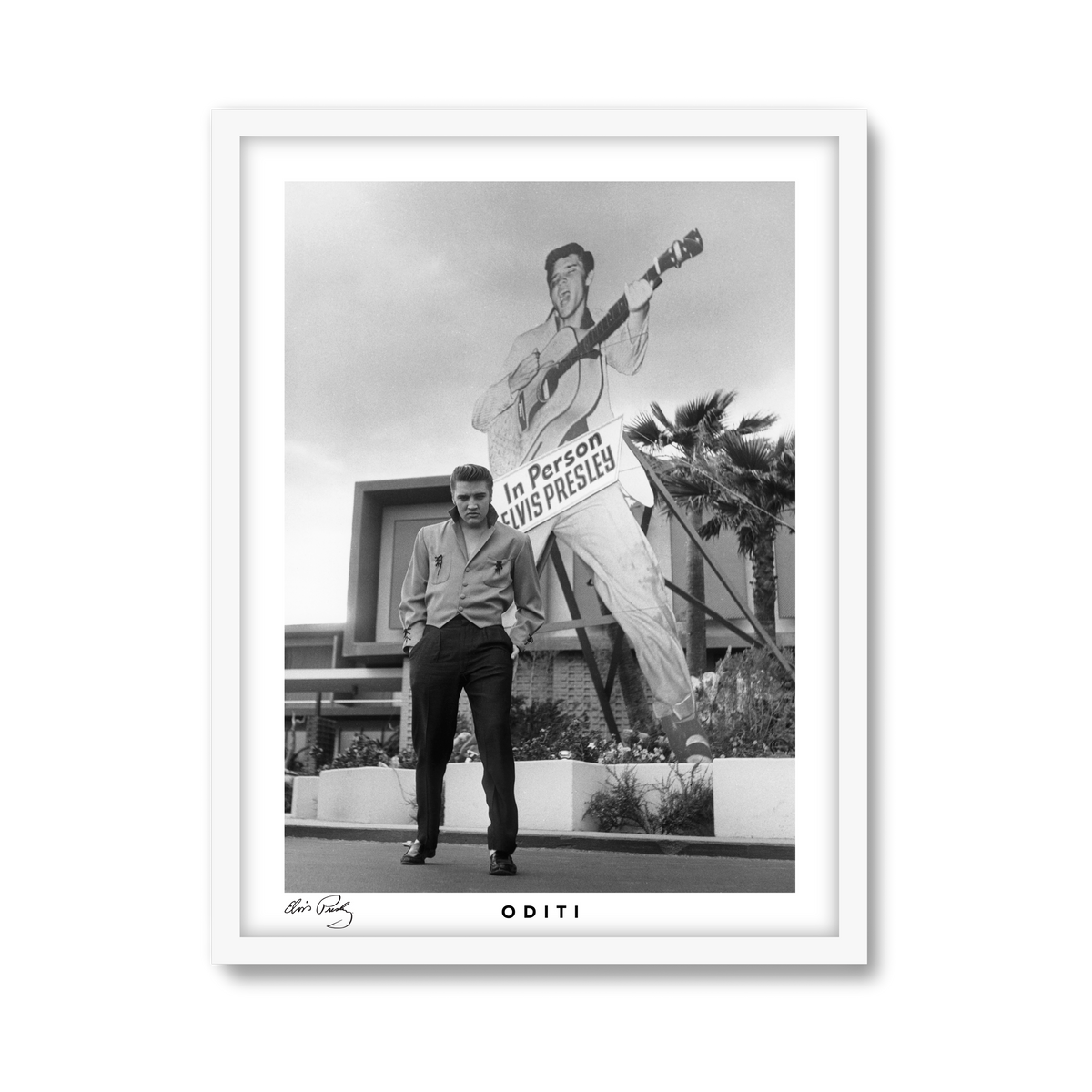 white-frame.png