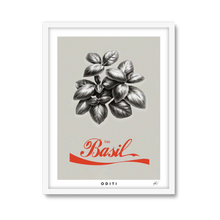 Basil Grey