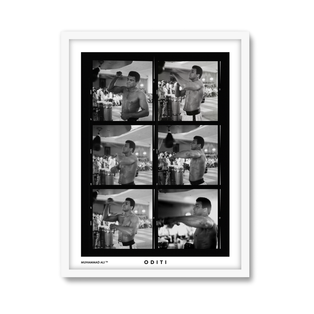 white-frame.png