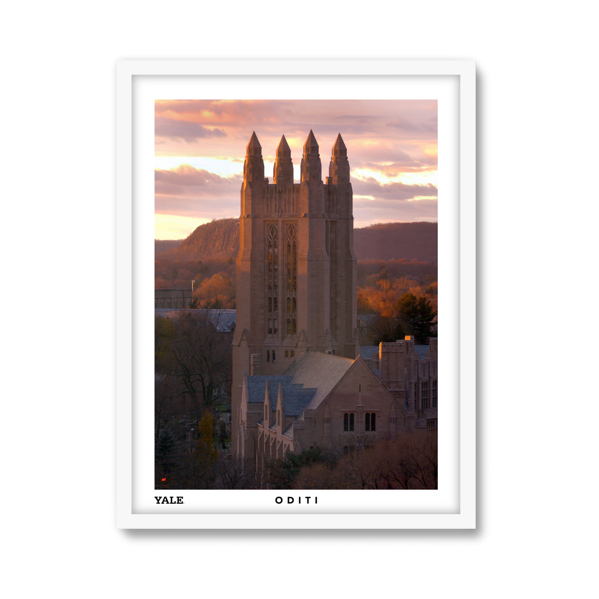 white-frame.png