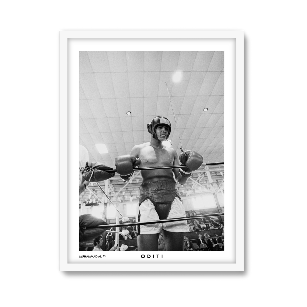 white-frame.png