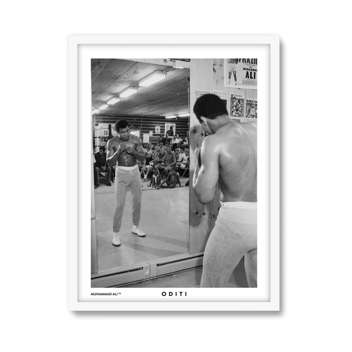 white-frame.png