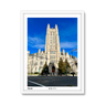 white-frame.png