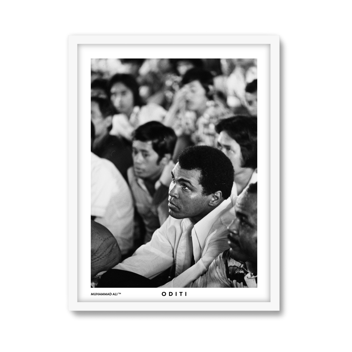 white-frame.png