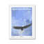 white-frame.png