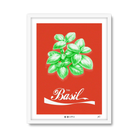 Basil Red