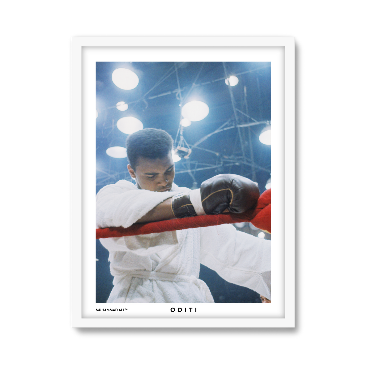 white-frame.png