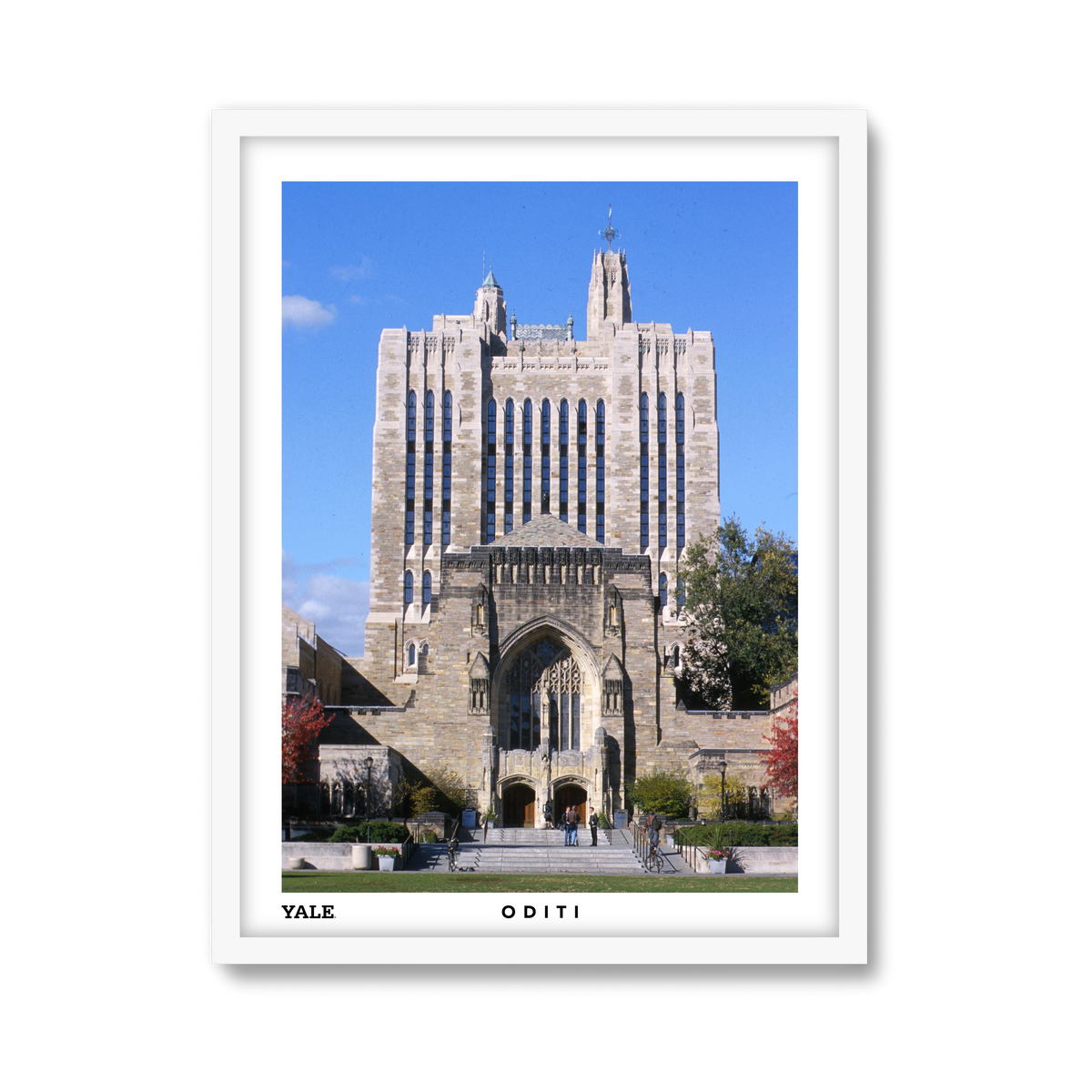 white-frame.png