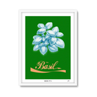 Basil Green