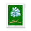 Basil Green