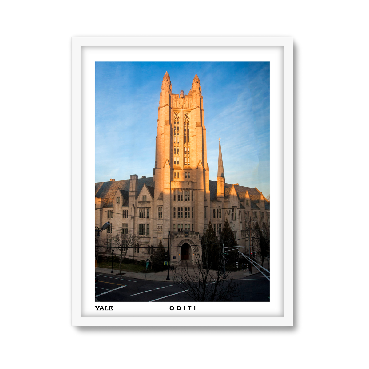 white-frame.png