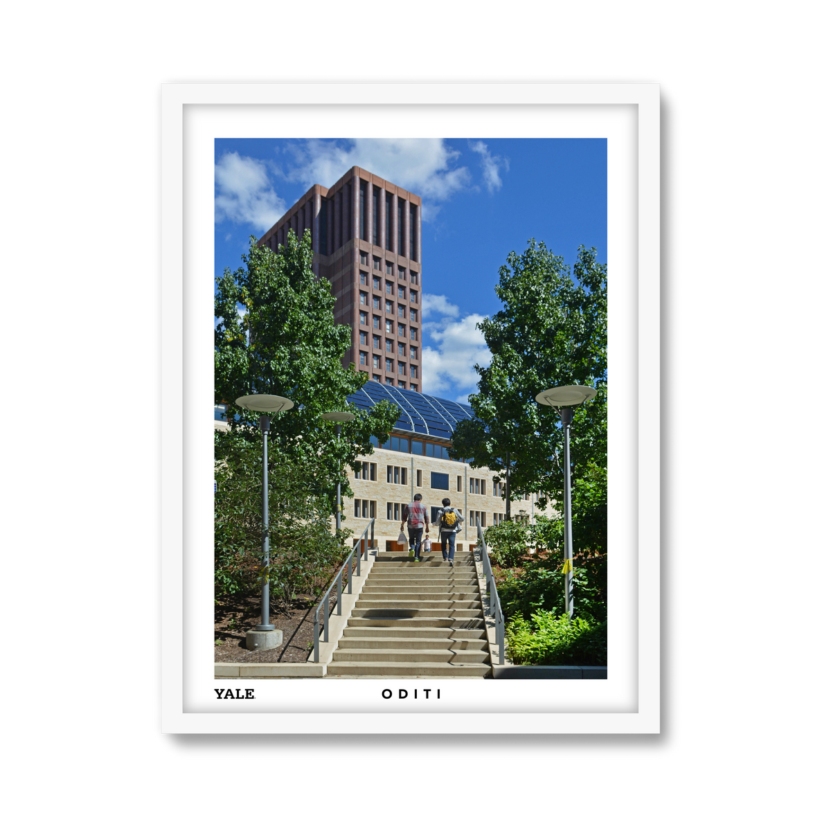 white-frame.png