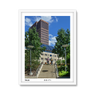 white-frame.png