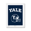 white-frame.png