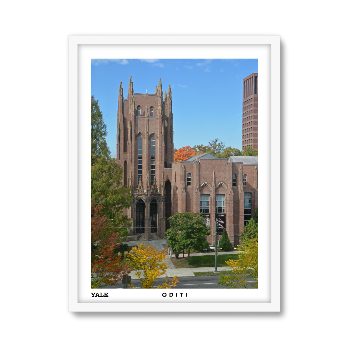 white-frame.png