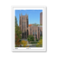 white-frame.png