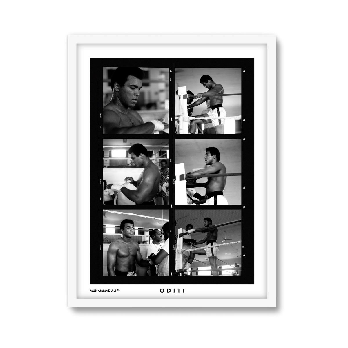 white-frame.png