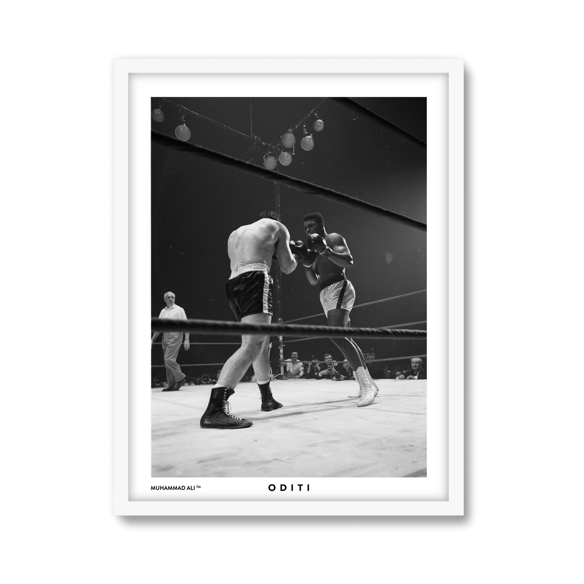 white-frame.png
