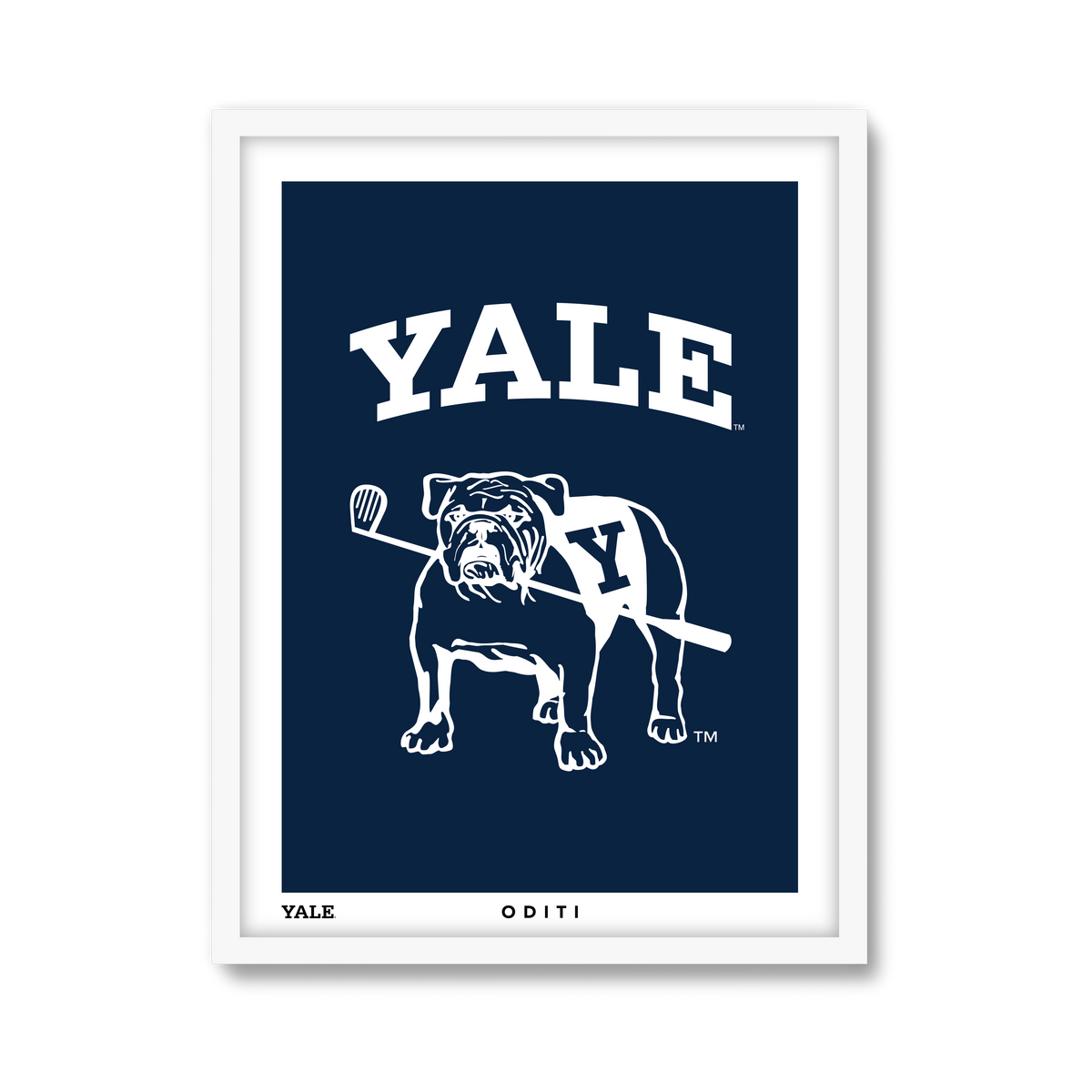 white-frame.png