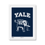 white-frame.png